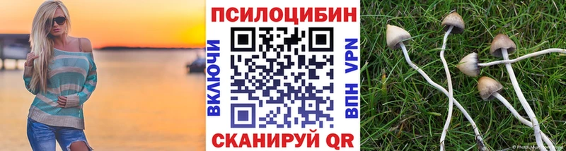 Псилоцибиновые грибы Psilocybe  где купить   Киров 